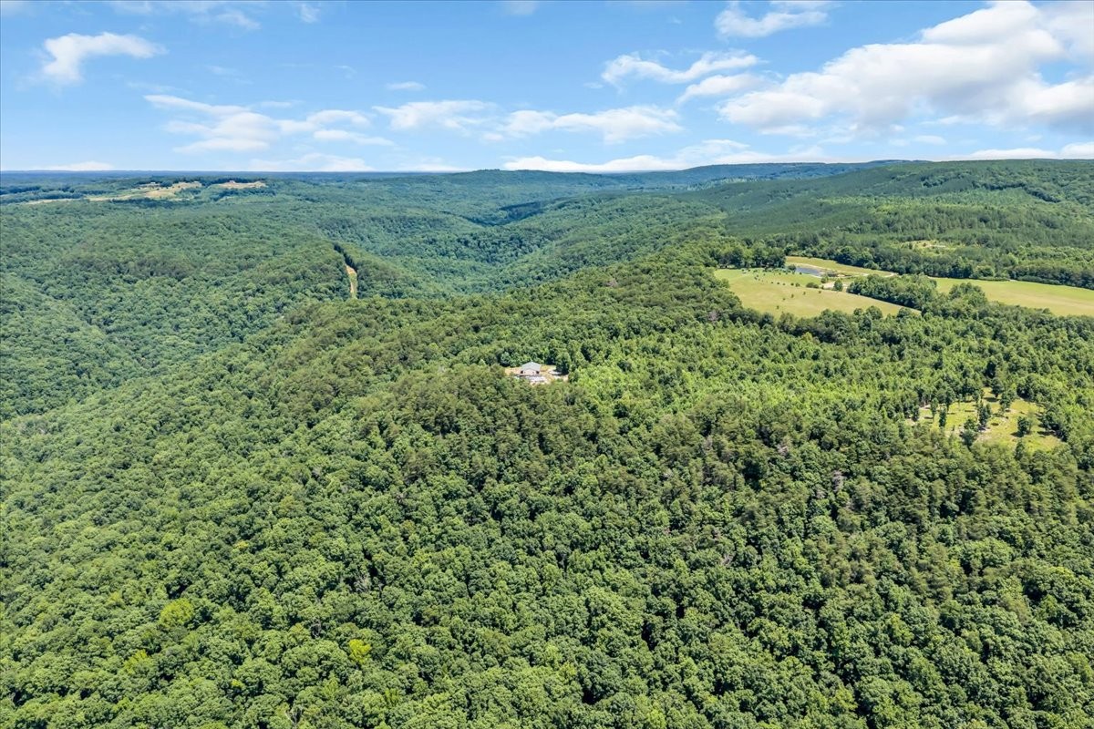 5688 Burkett Chapel Road Gruetli Laager, TN 37339 - Photo 60 of 73