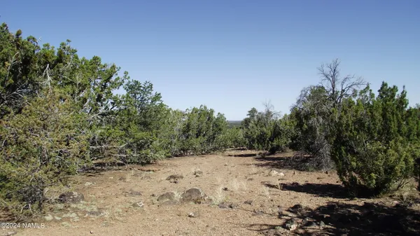 $21,900 | 837 East Jackpine Lane, Unit 47, Williams, AZ 86046