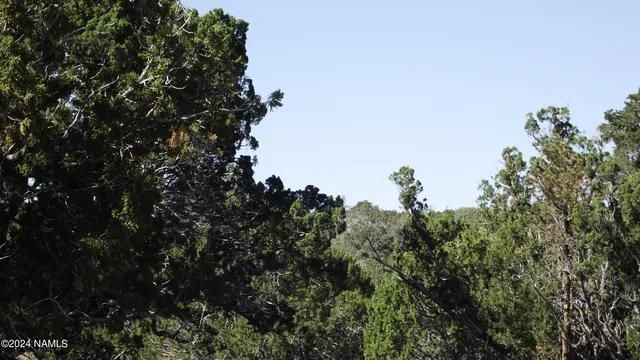 $21,900 | 837 East Jackpine Lane, Unit 47, Williams, AZ 86046