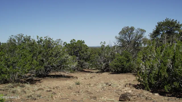 $21,900 | 837 East Jackpine Lane, Unit 47, Williams, AZ 86046