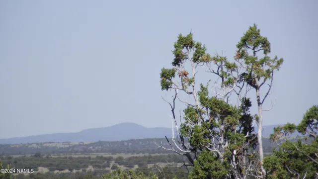 $21,900 | 837 East Jackpine Lane, Unit 47, Williams, AZ 86046