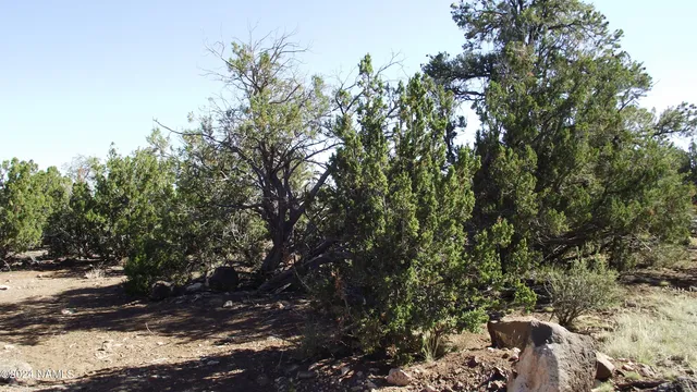 $21,900 | 837 East Jackpine Lane, Unit 47, Williams, AZ 86046