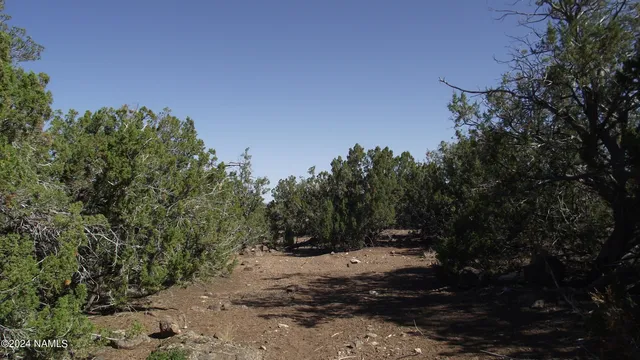 $21,900 | 837 East Jackpine Lane, Unit 47, Williams, AZ 86046