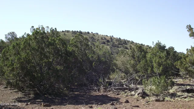 $21,900 | 837 East Jackpine Lane, Unit 47, Williams, AZ 86046