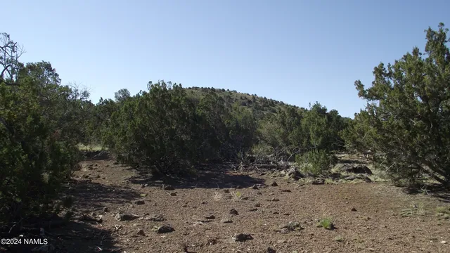 $21,900 | 837 East Jackpine Lane, Unit 47, Williams, AZ 86046