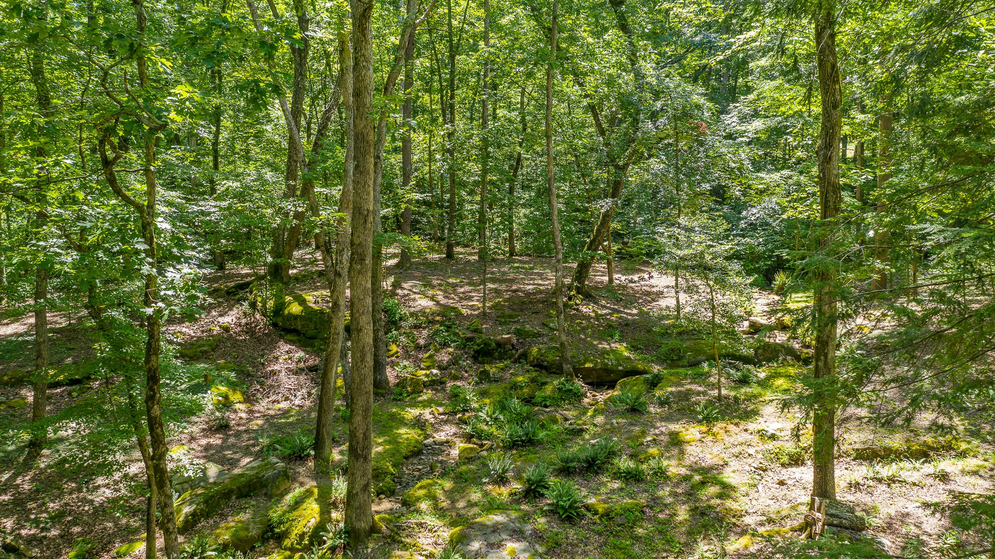 605 Dunsinane Road Signal Mountain, TN 37377 - Photo 56 of 56 605 Dunsinane Rd.