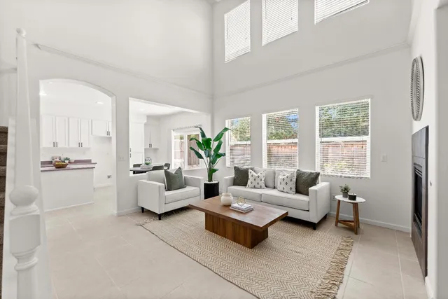 a living room with furniture a fireplace and a potted plant