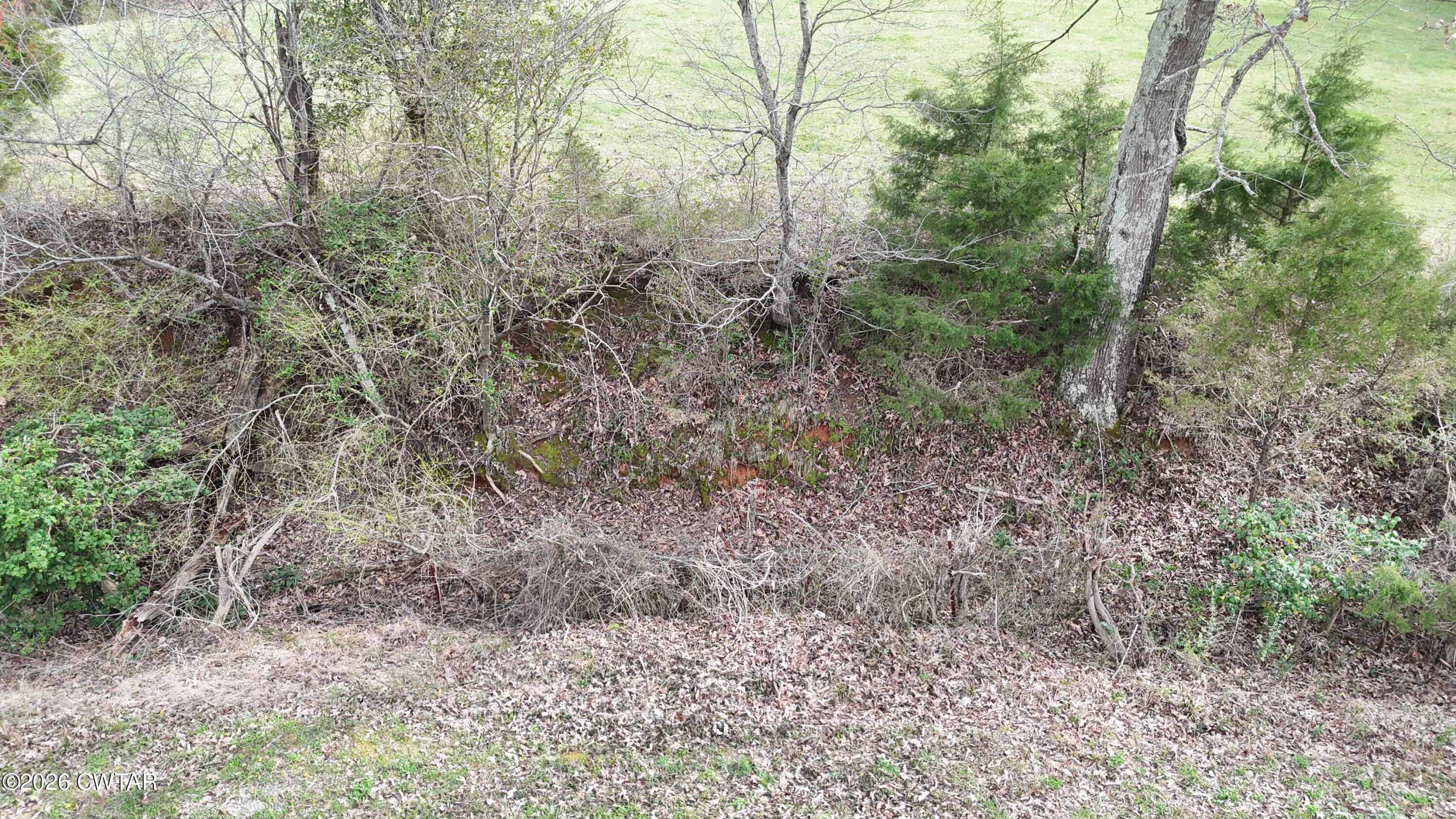 -tract #1 Brazil Bottom Road Lexington, TN 38351 - Photo 13 of 13 a view of a yard with large trees