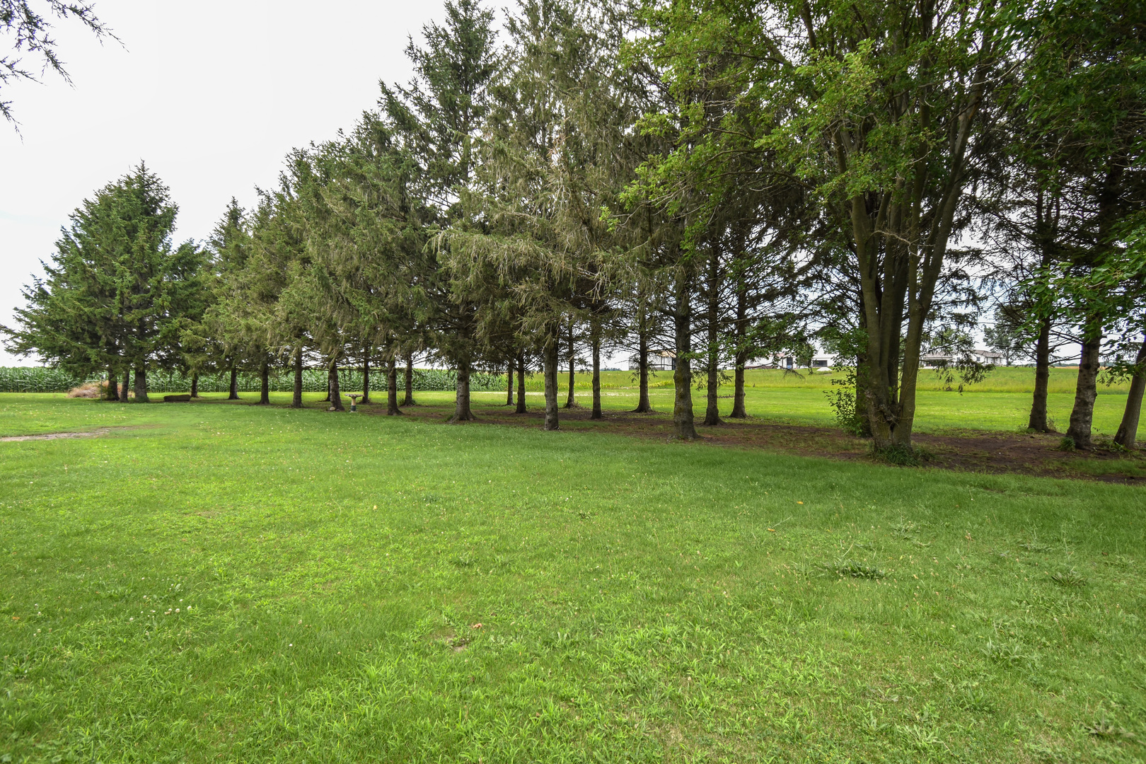 23451 North 1700 E Road Odell, IL 60460 - Photo 21 of 63