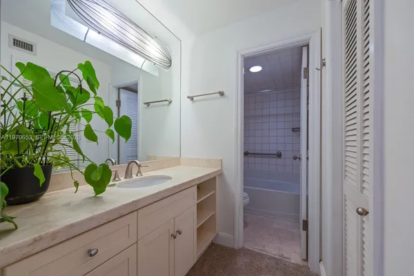 a bathroom with a granite countertop sink a potted plant and a shower