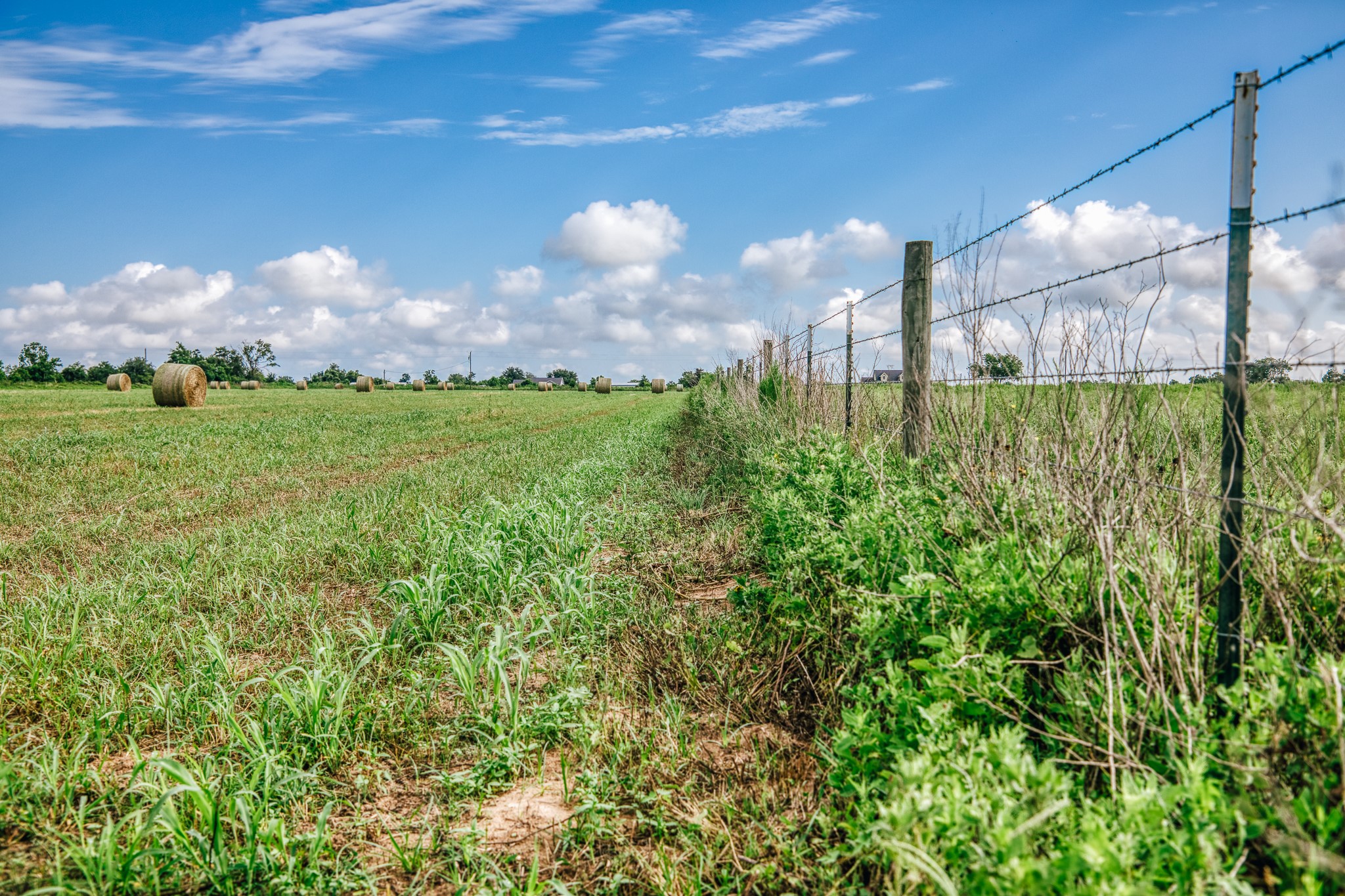 0 Richard Frey Road Waller, TX 77484 - Photo 10 of 23
