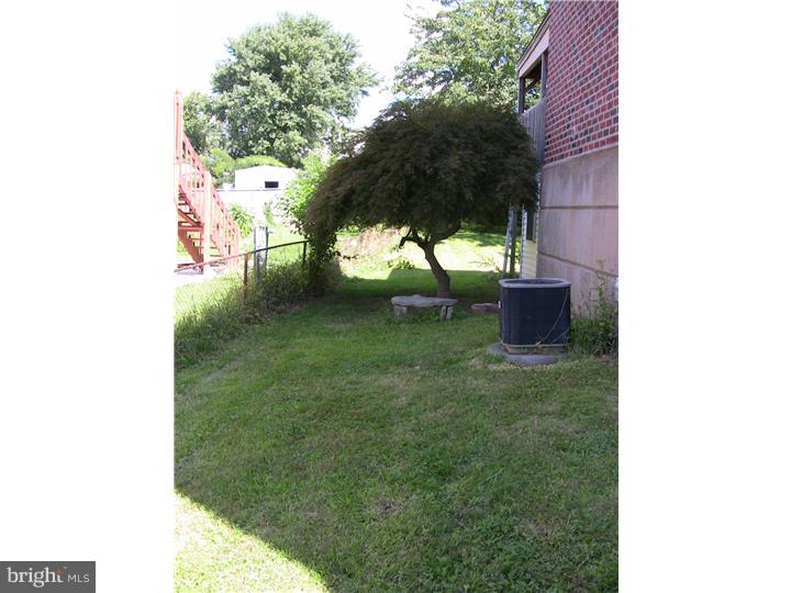 3127 Holly Road Philadelphia, PA 19154 - Photo 3 of 24 Side Yard