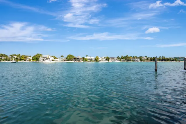 an aerial view of a houses with a lake view