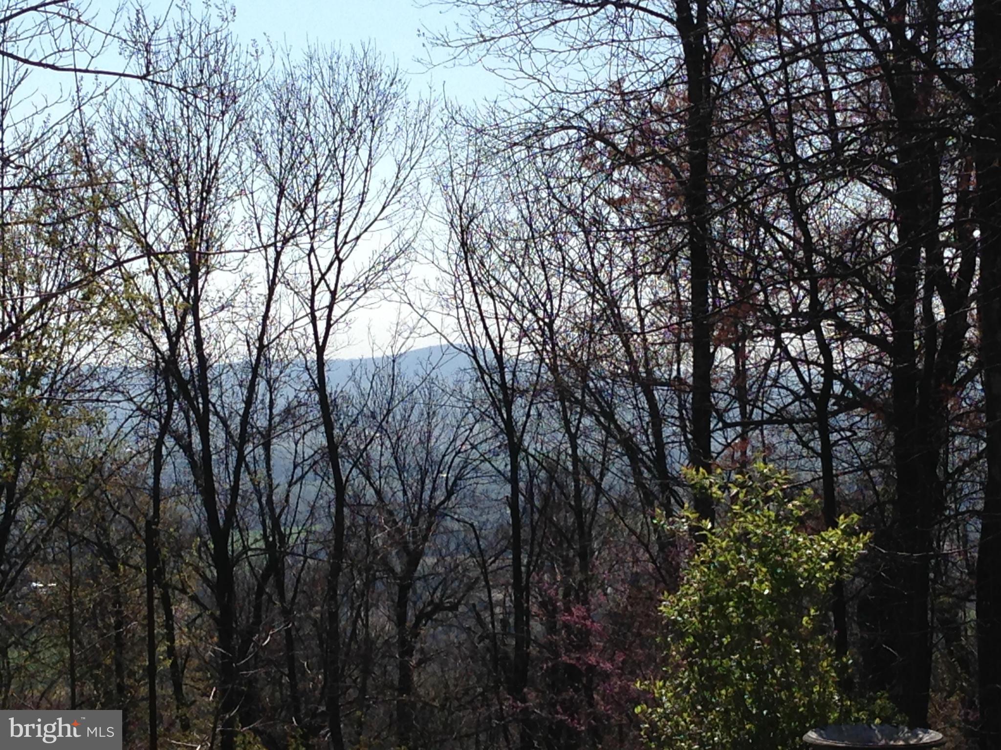 3337 Mar Lu Ridge Road Jefferson, MD 21755 - Photo 13 of 13 View