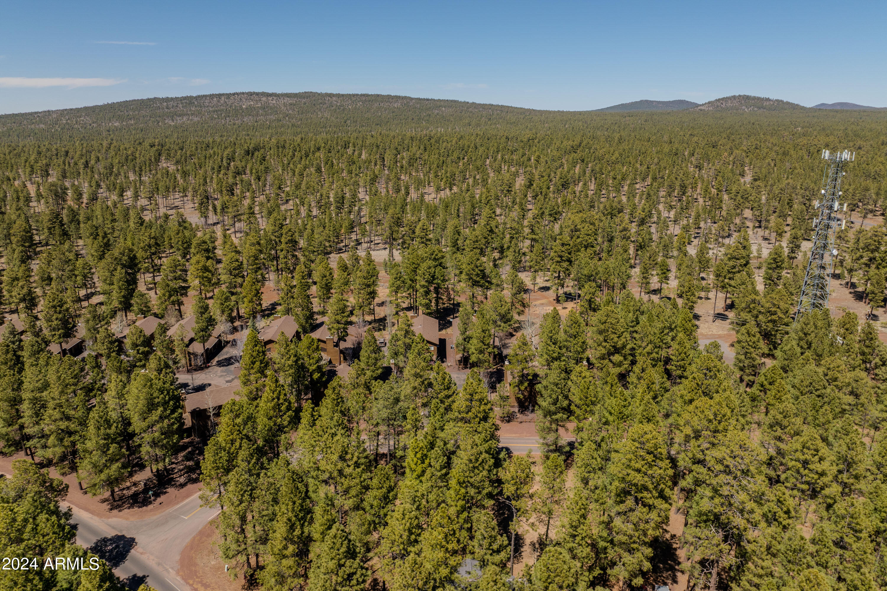 4571 Sky Hi Road Pinetop, AZ 85935 - Photo 6 of 23 4571 Sky Hi-06