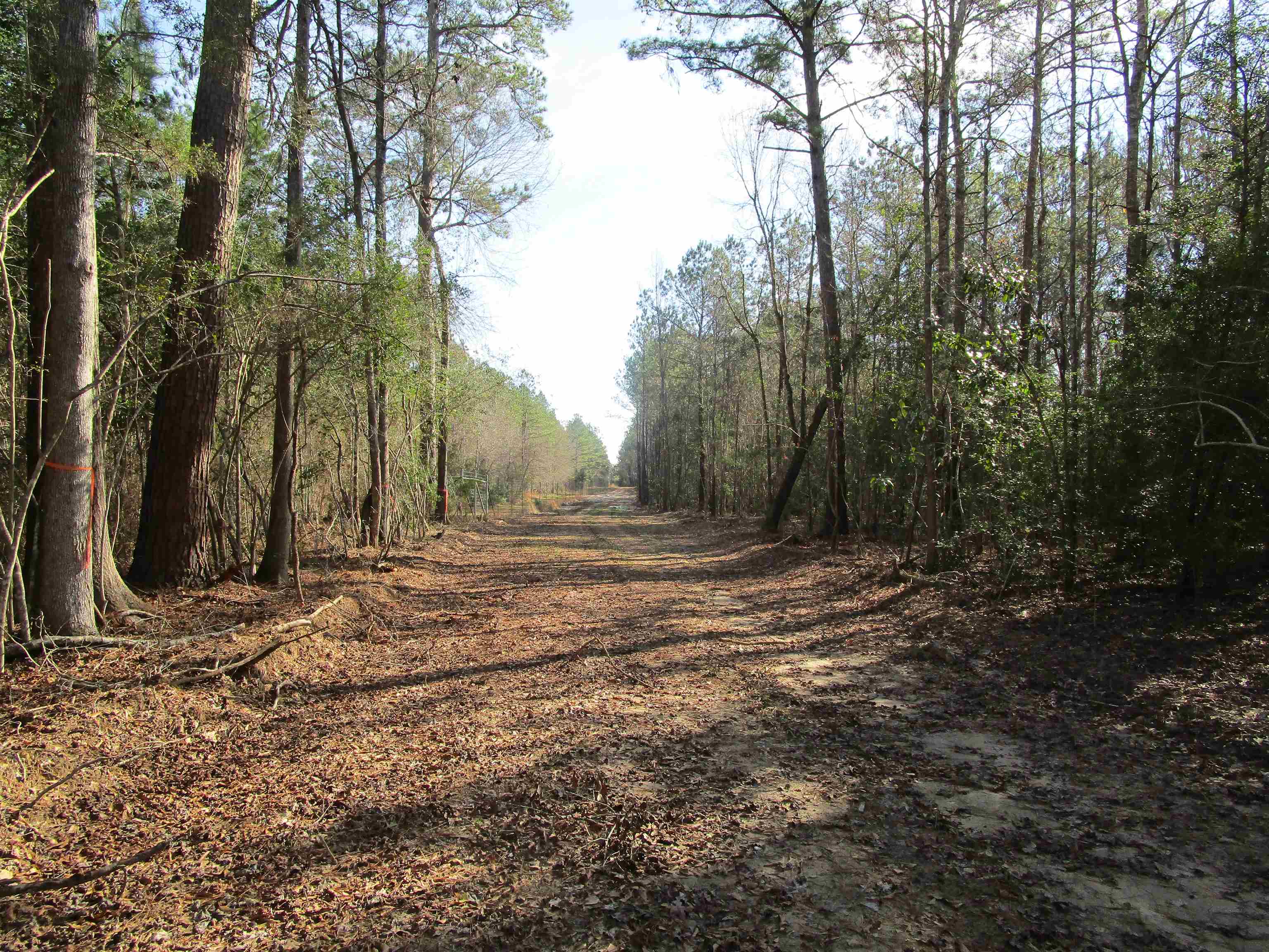 78.88-ac Cherry Hill Road Kountze, TX 77625 - Photo 1 of 1