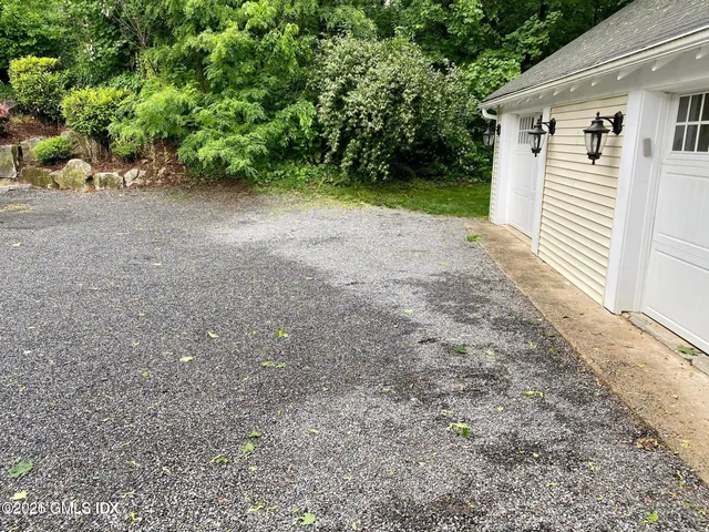 a view of a yard with plants and trees