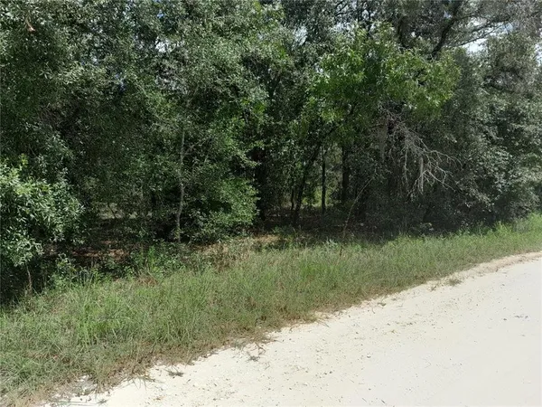 $26,000 | 91 Southeast 142nd Terrace, Williston, FL 32696