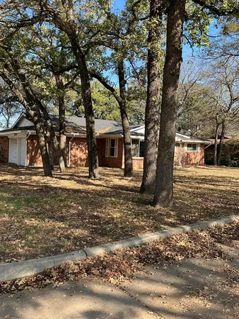 a tree in the middle of a yard
