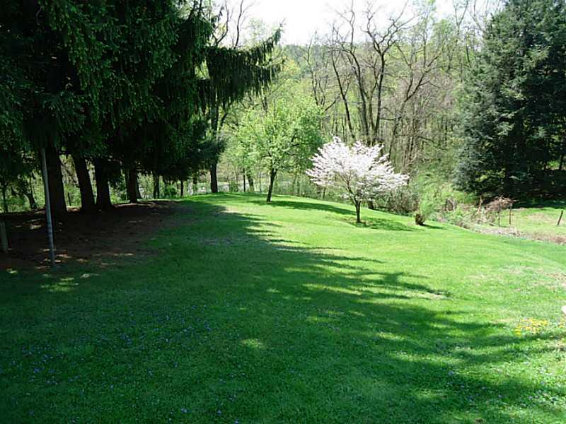 3128 Ridge Avenue Aliquippa, PA 15001 - Photo 23 of 24 Yard/Garden. View of the left side of back yard.