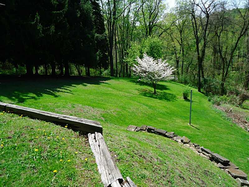 3128 Ridge Avenue Aliquippa, PA 15001 - Photo 24 of 24 Yard/Garden. View of the right side of back yard.