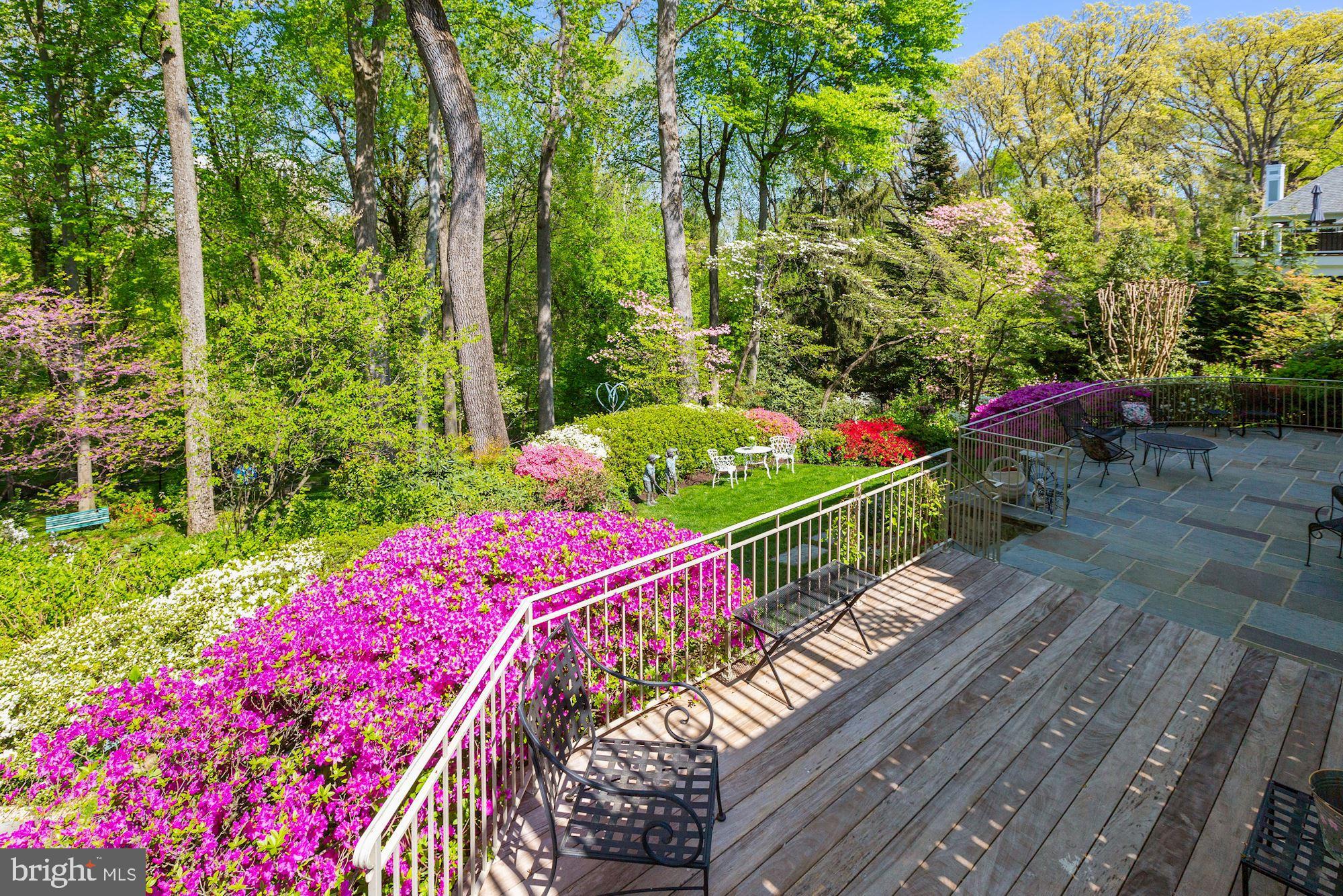 3720 Cardiff Road Chevy Chase, MD 20815 - Photo 44 of 58