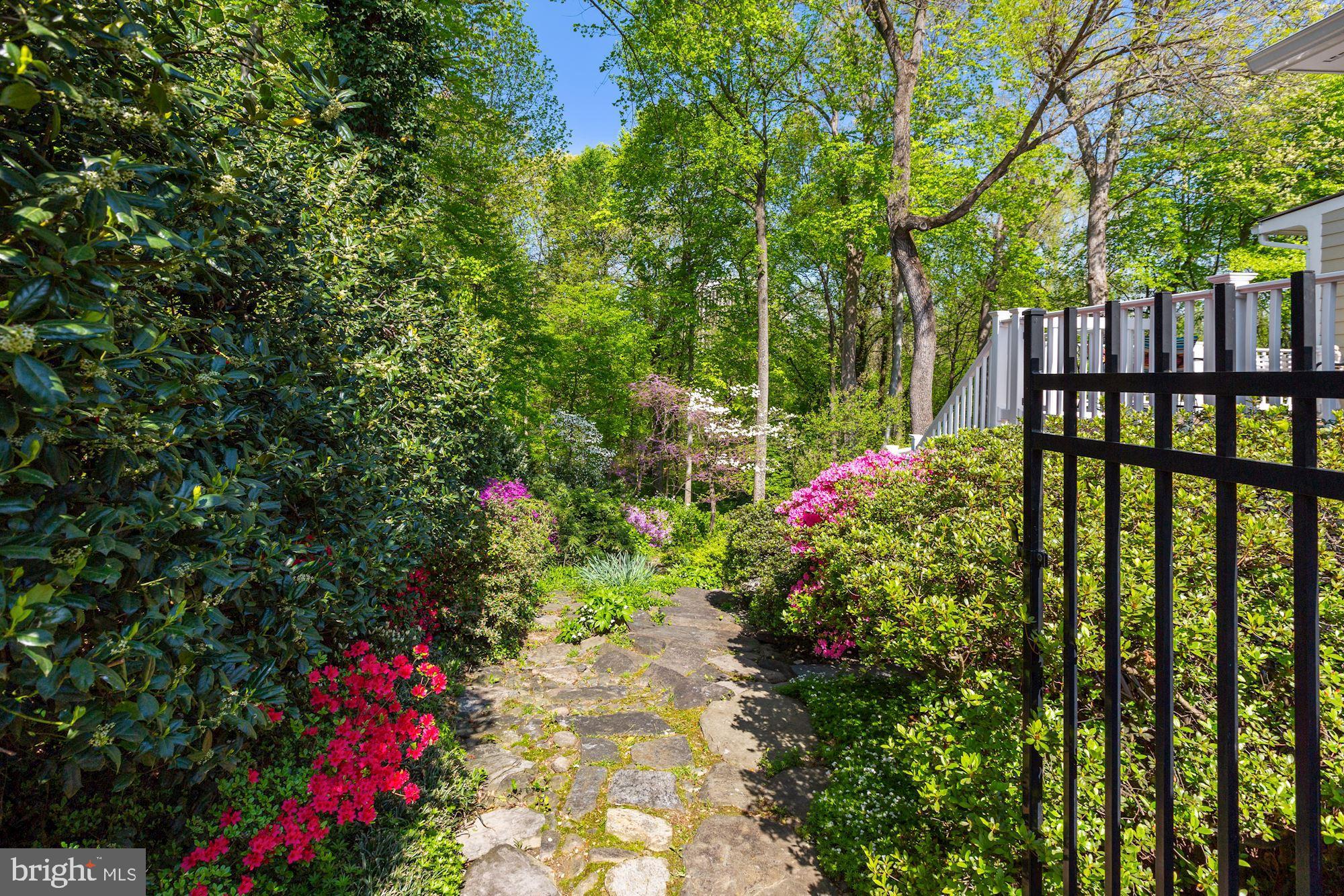 3720 Cardiff Road Chevy Chase, MD 20815 - Photo 45 of 58