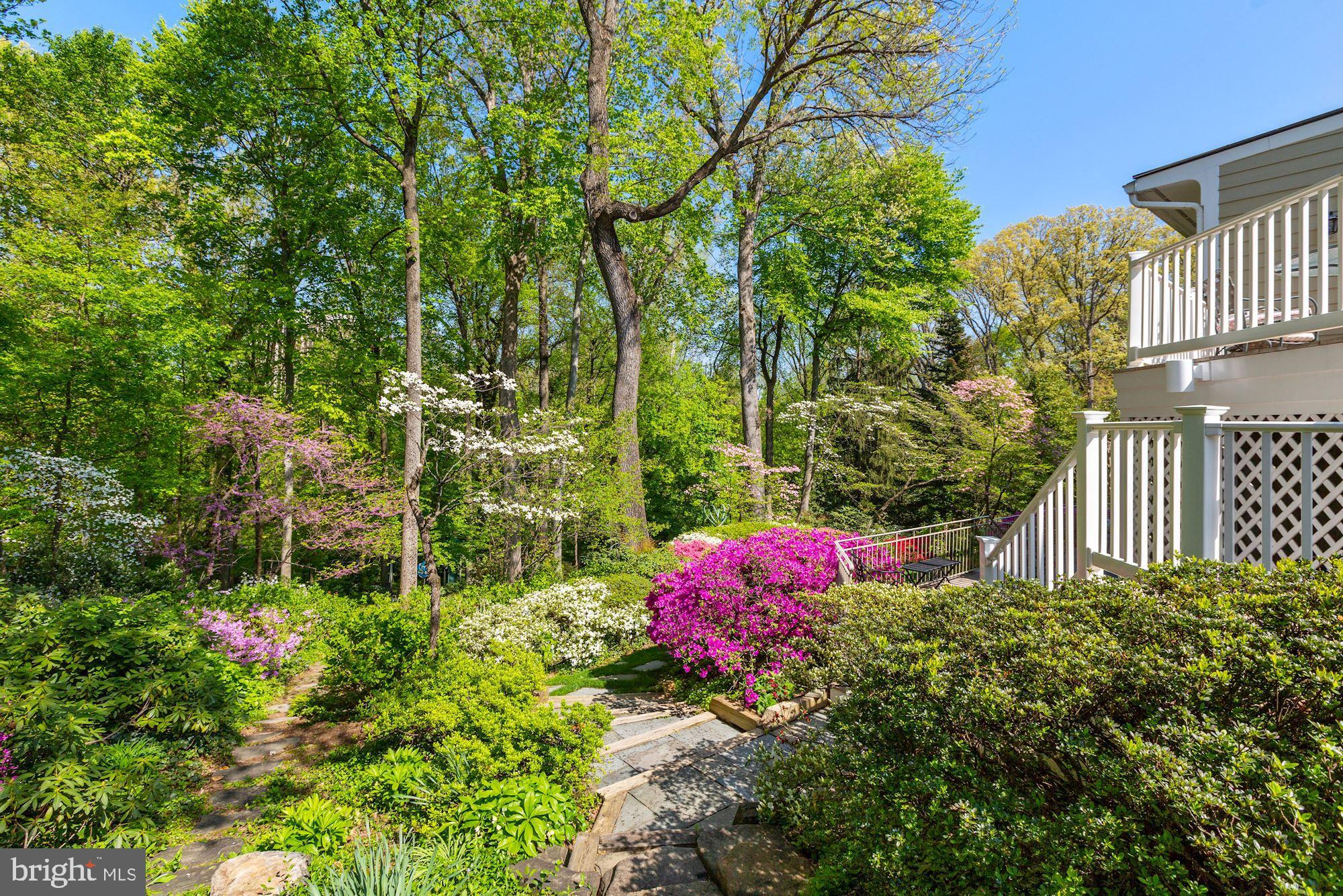 3720 Cardiff Road Chevy Chase, MD 20815 - Photo 47 of 58