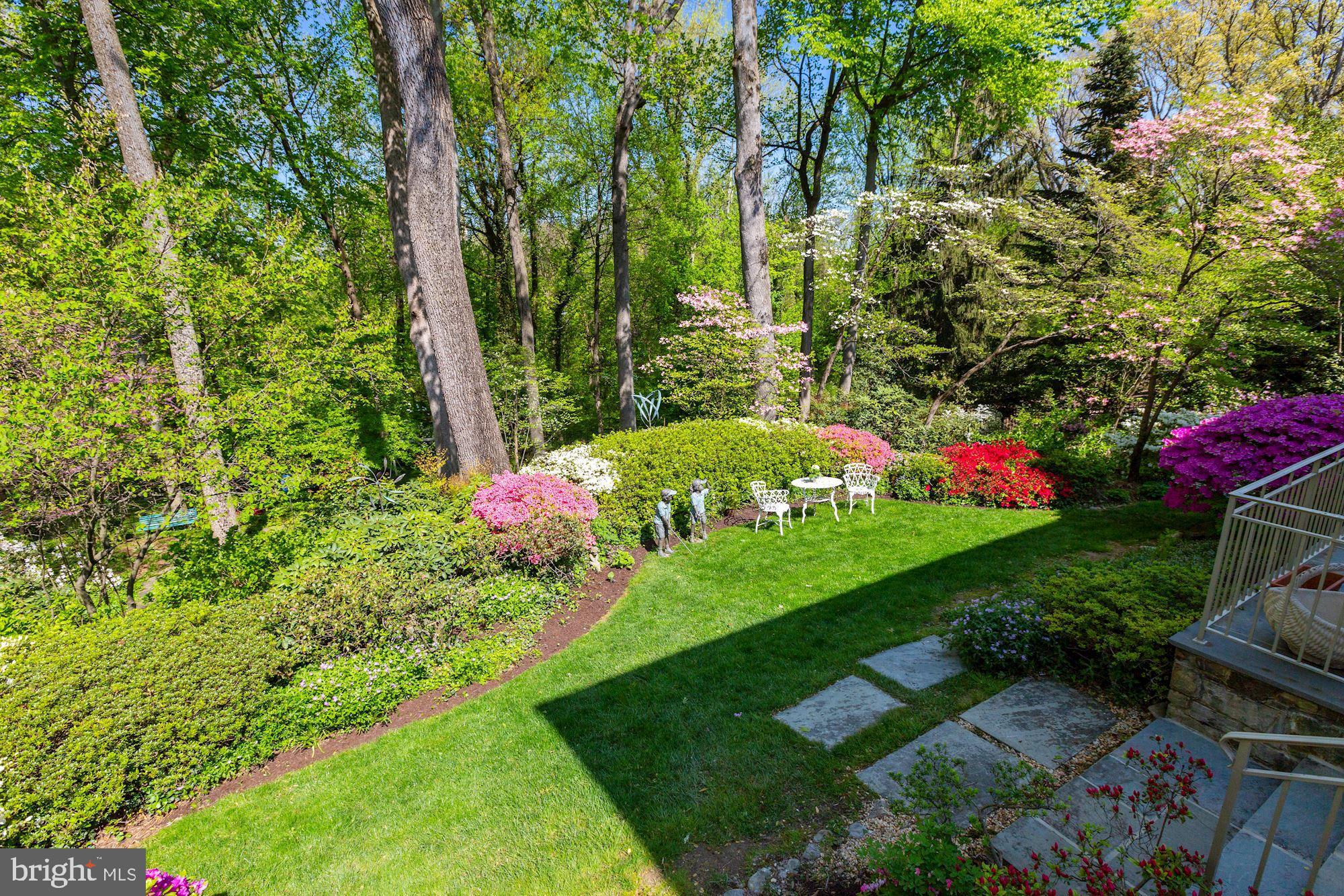 3720 Cardiff Road Chevy Chase, MD 20815 - Photo 48 of 58