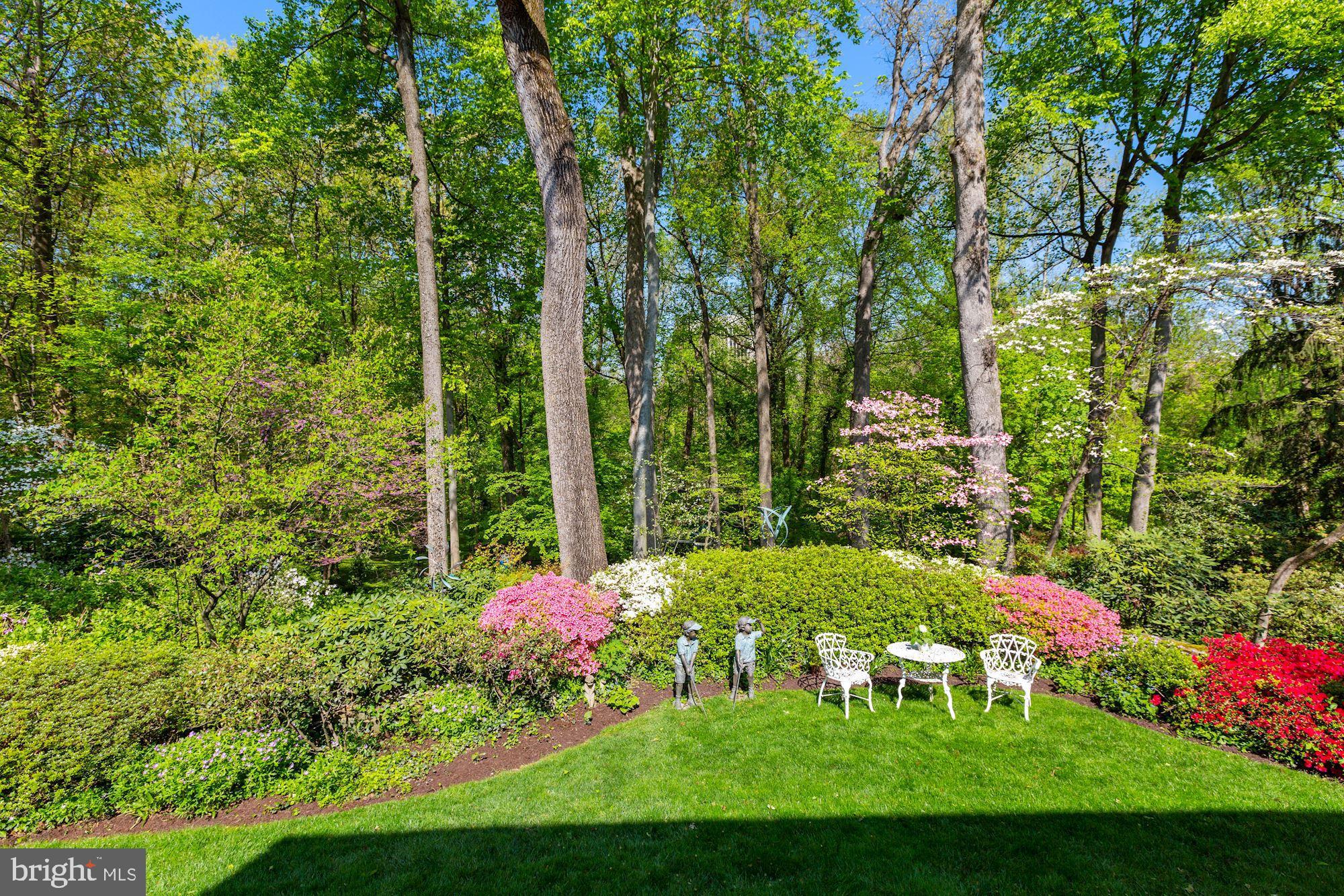 3720 Cardiff Road Chevy Chase, MD 20815 - Photo 49 of 58