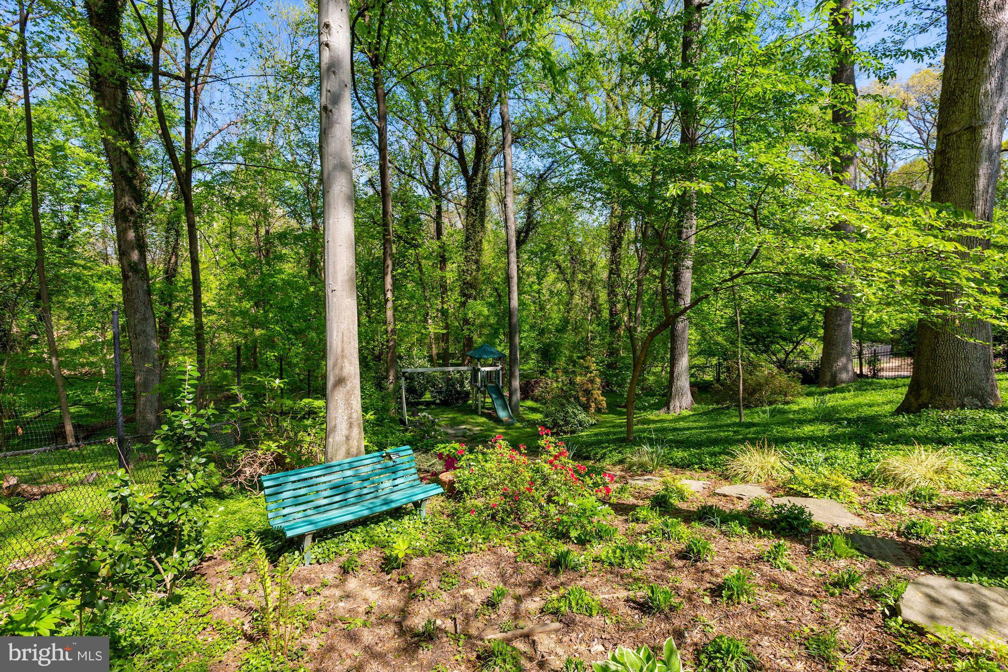 3720 Cardiff Road Chevy Chase, MD 20815 - Photo 51 of 58