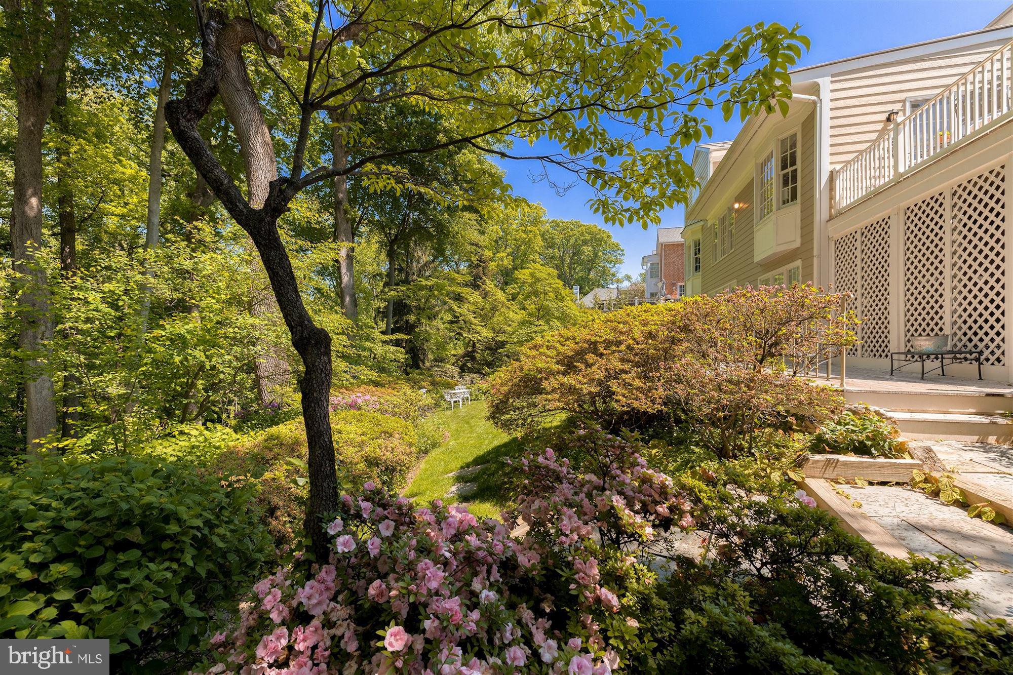 3720 Cardiff Road Chevy Chase, MD 20815 - Photo 57 of 58