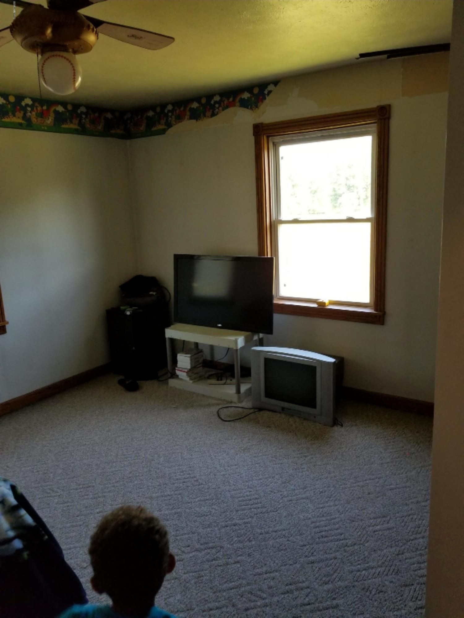 1010 Ralston Road Sherwood, MI 49089 - Photo 31 of 43 20190802_105008
