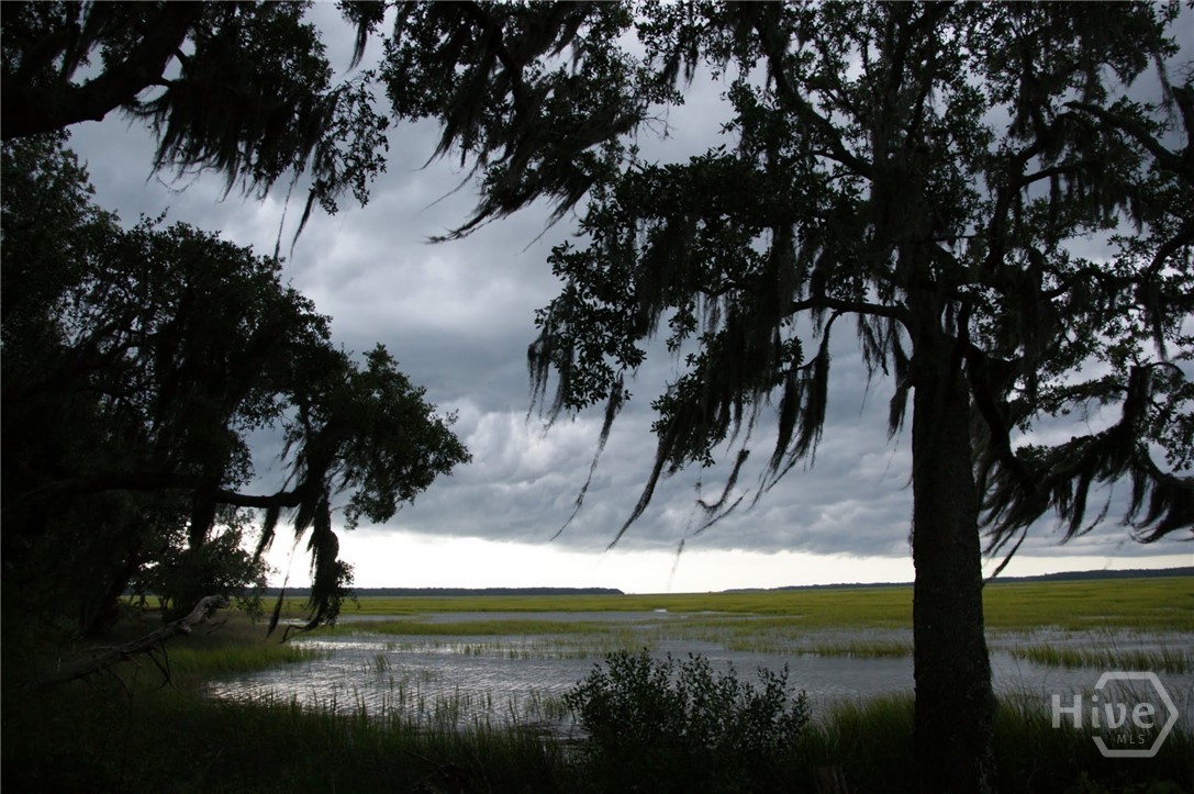 Lot 513 Marsh Hen Road Northeast Townsend, GA 31331 - Photo 13 of 15