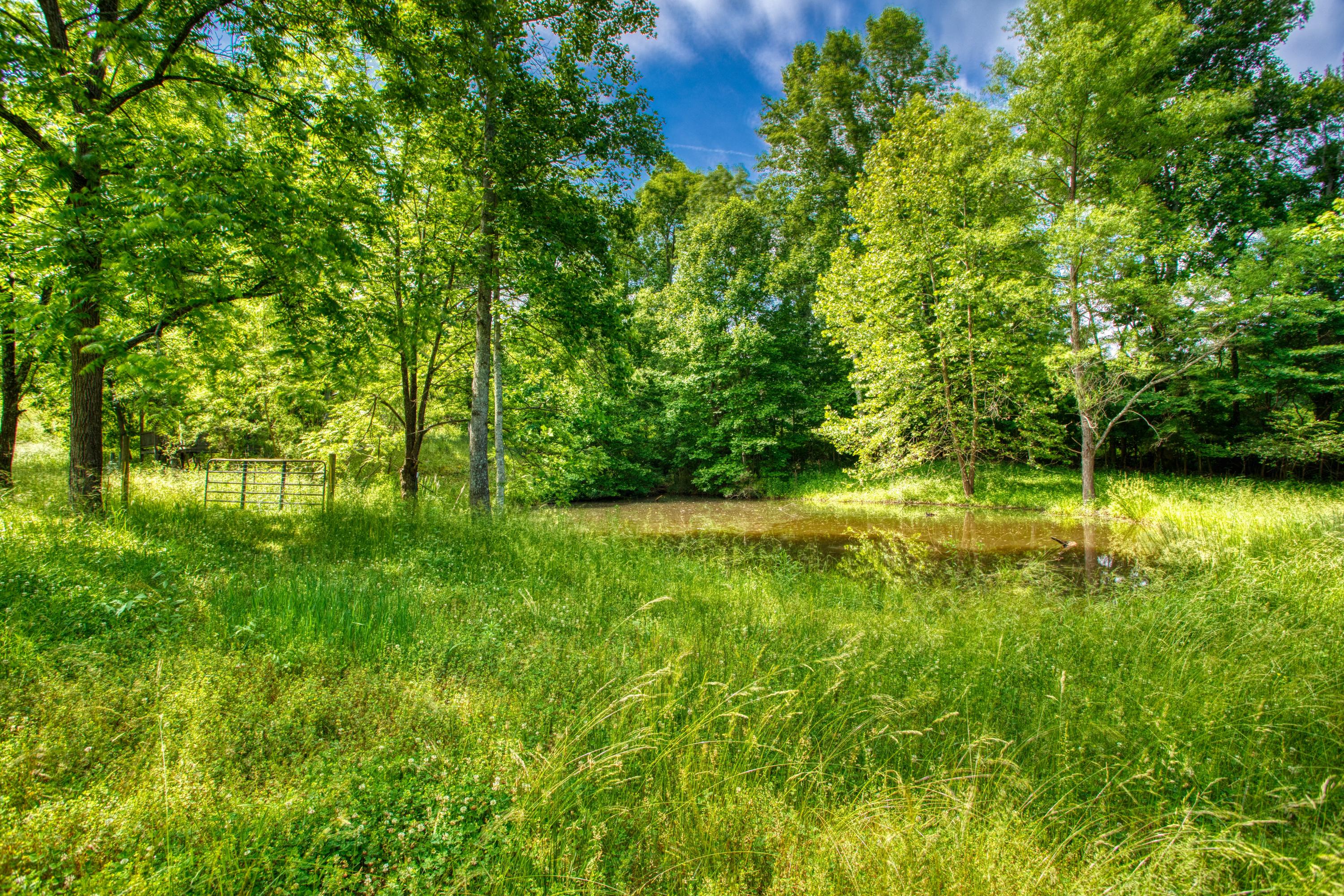 731 Fairgrounds Road Jamestown, TN 38556 - Photo 6 of 6 EK3A0354