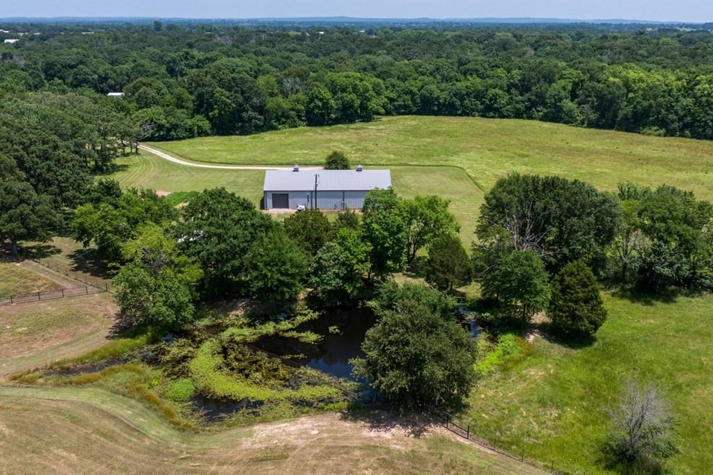 455 County Road 2808 Mabank, TX 75147 - Photo 38 of 40 a view of a big yard with large trees