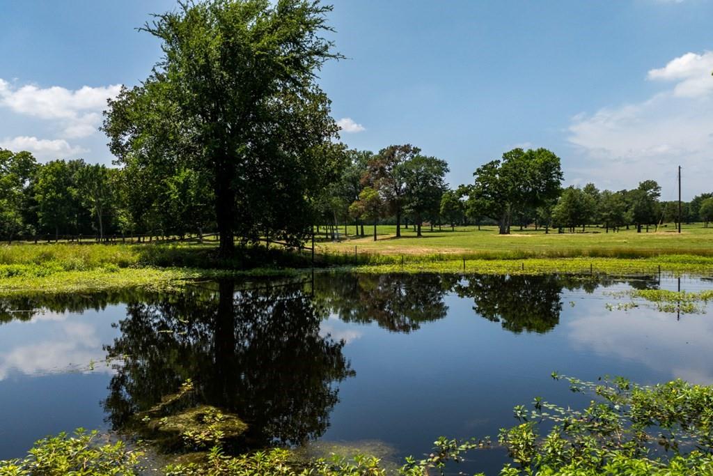 455 County Road 2808 Mabank, TX 75147 - Photo 40 of 40 a view of a lake with a big yard