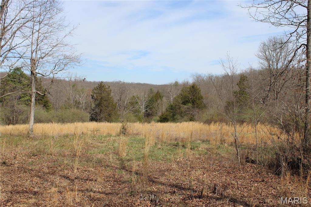 12 Berryman Cut-Off Road Steelville, MO 65565 - Photo 11 of 23