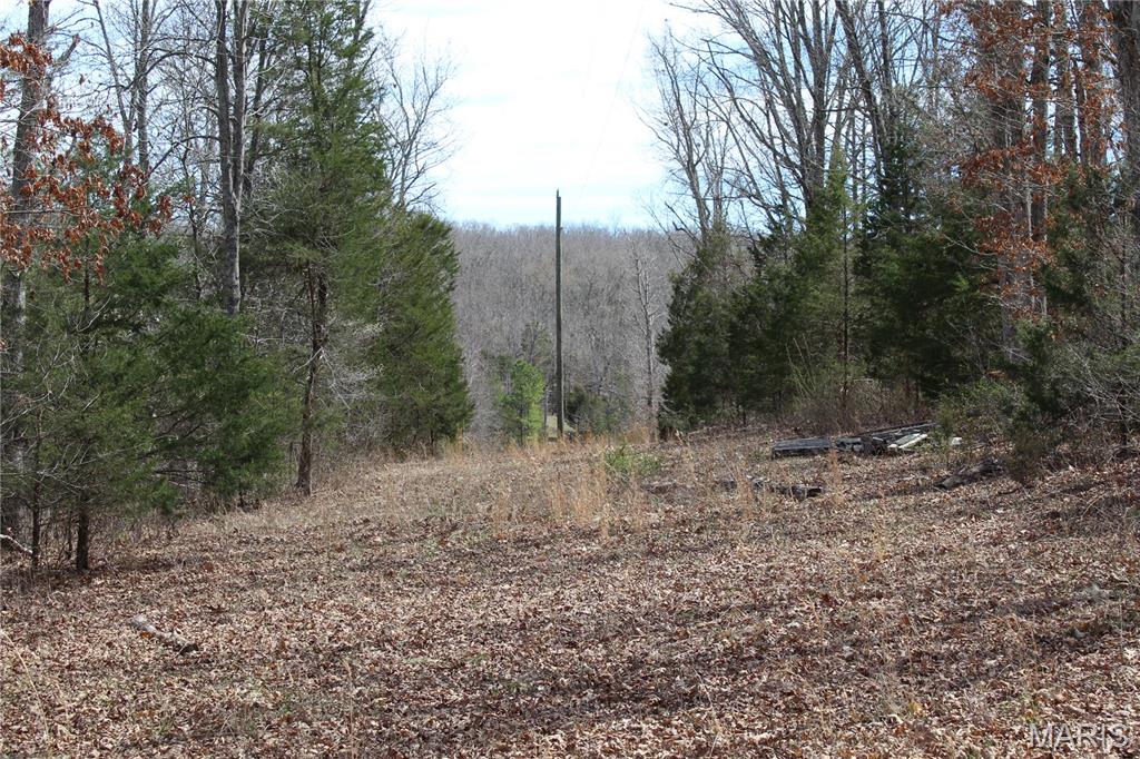 12 Berryman Cut-Off Road Steelville, MO 65565 - Photo 12 of 23