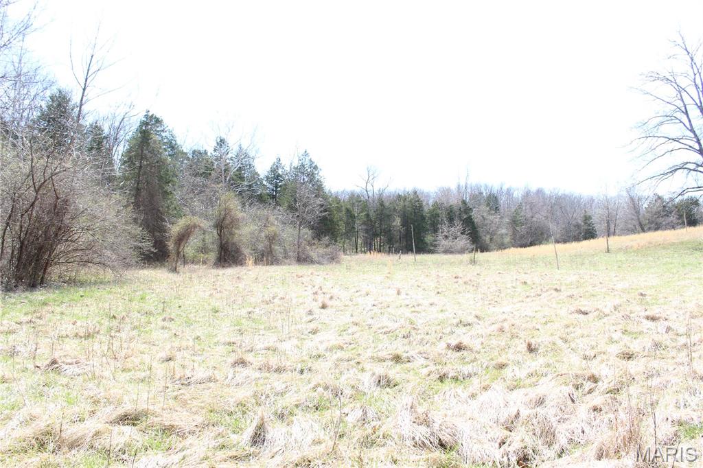 12 Berryman Cut-Off Road Steelville, MO 65565 - Photo 14 of 23