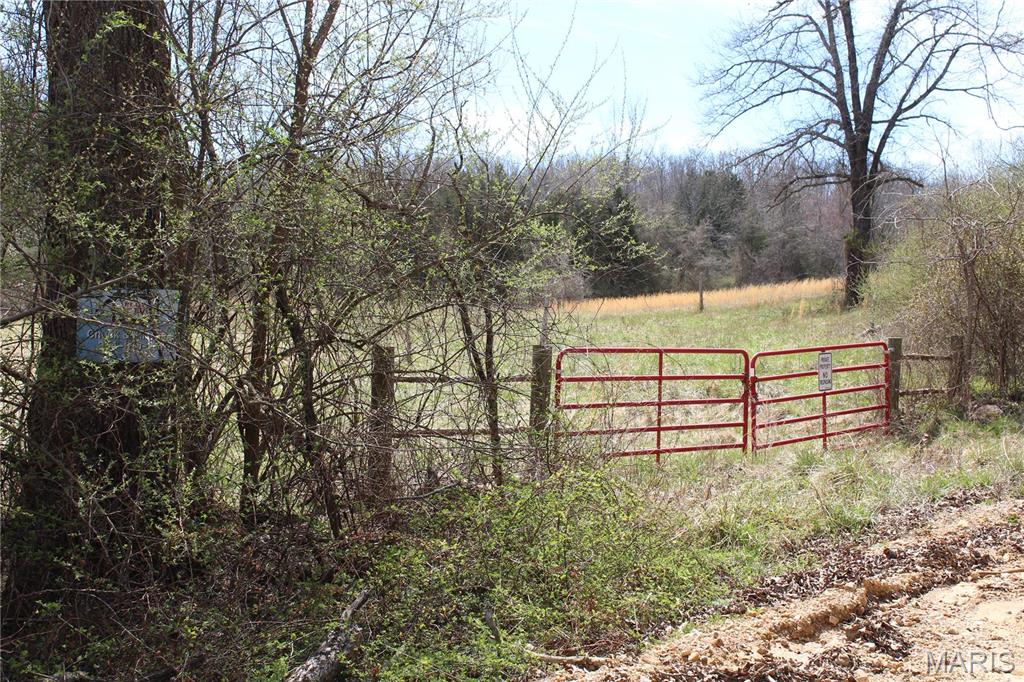 12 Berryman Cut-Off Road Steelville, MO 65565 - Photo 16 of 23