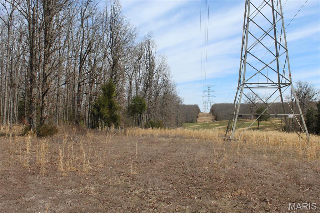 12 Berryman Cut-Off Road Steelville, MO 65565 - Photo 19 of 23