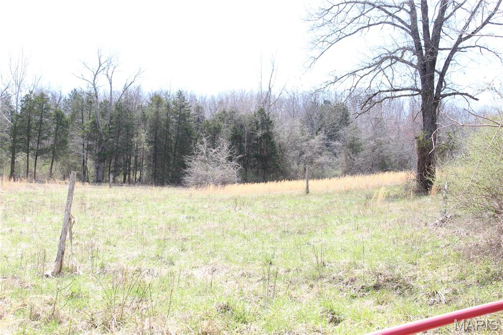 12 Berryman Cut-Off Road Steelville, MO 65565 - Photo 2 of 23