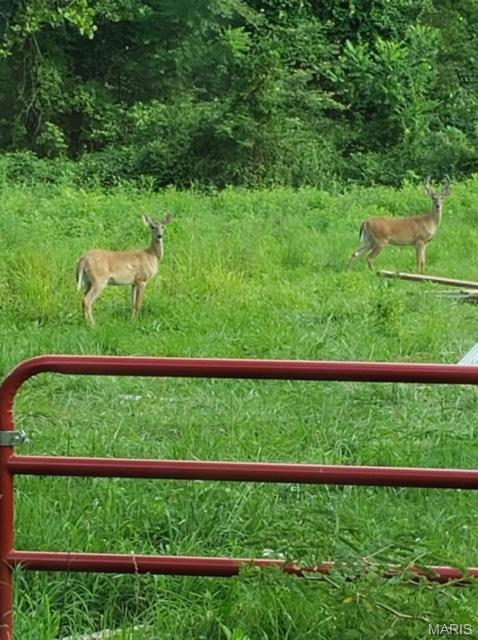 12 Berryman Cut-Off Road Steelville, MO 65565 - Photo 23 of 23