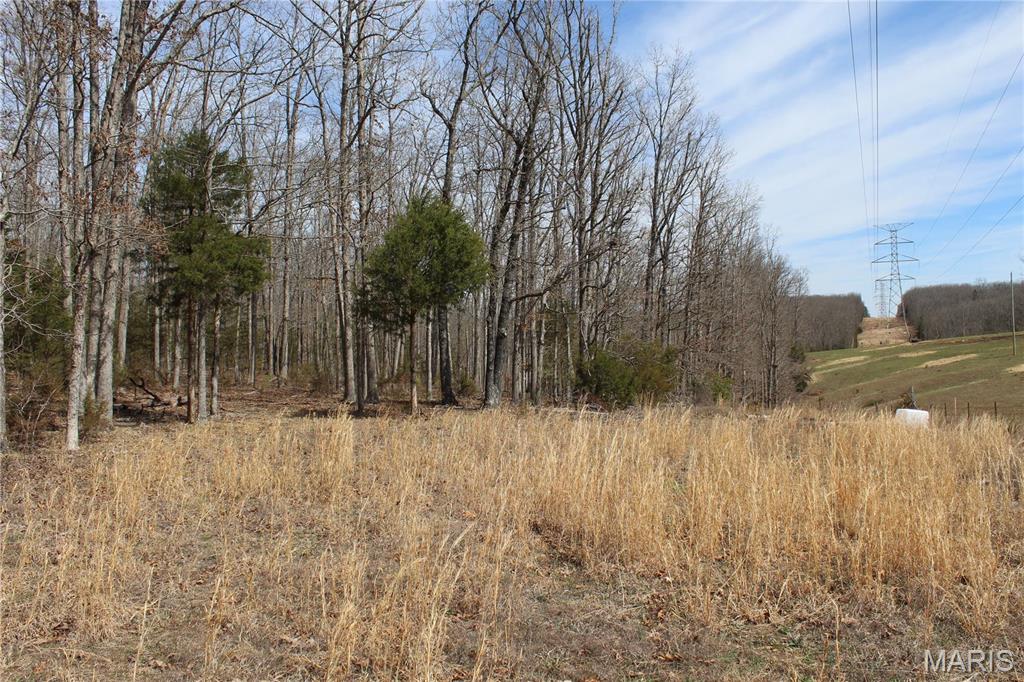 12 Berryman Cut-Off Road Steelville, MO 65565 - Photo 4 of 23