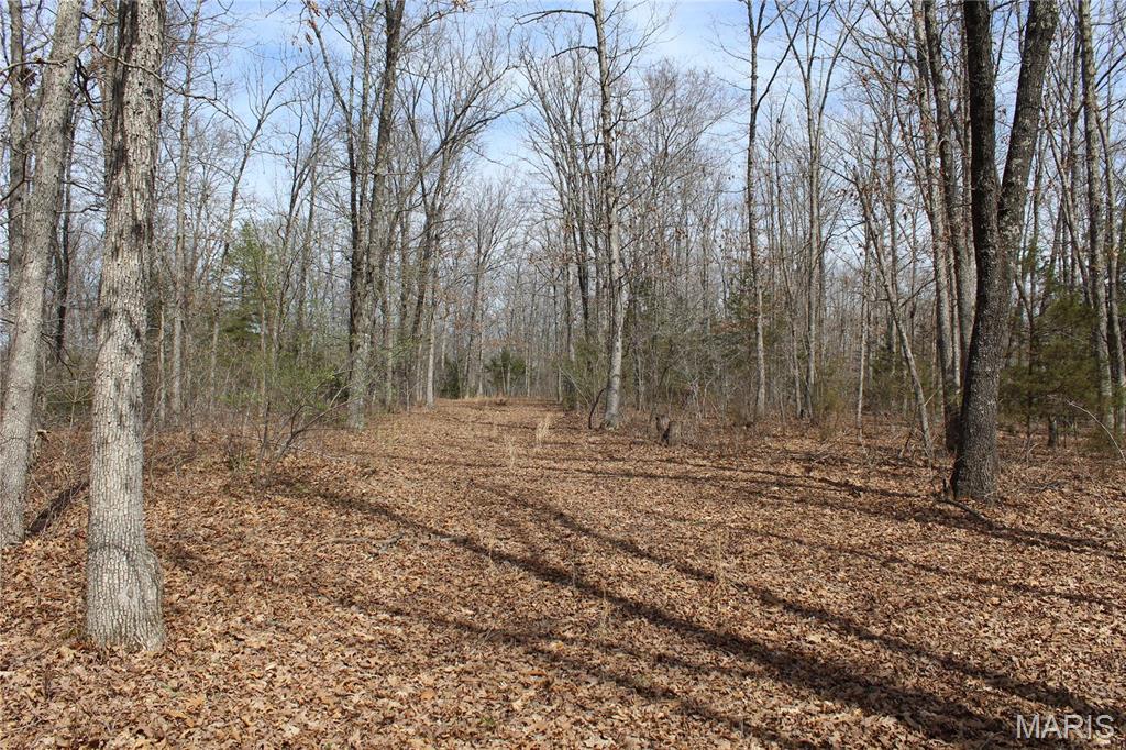 12 Berryman Cut-Off Road Steelville, MO 65565 - Photo 5 of 23