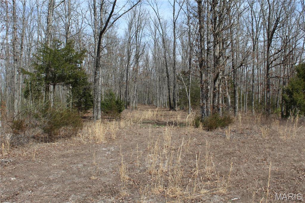 12 Berryman Cut-Off Road Steelville, MO 65565 - Photo 6 of 23