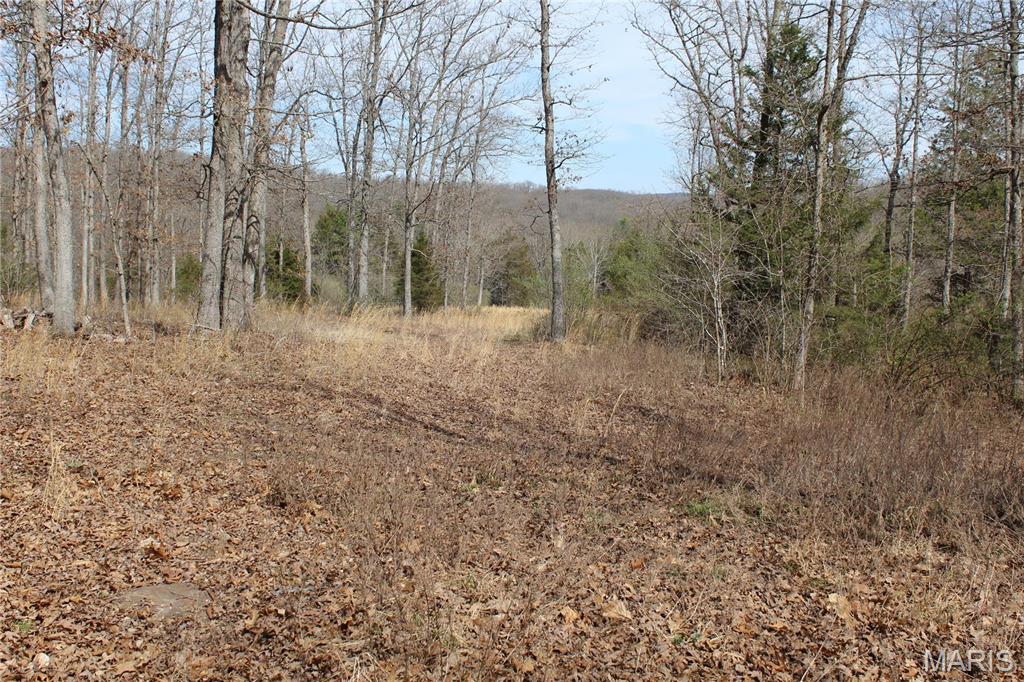 12 Berryman Cut-Off Road Steelville, MO 65565 - Photo 7 of 23