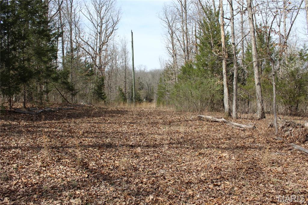 12 Berryman Cut-Off Road Steelville, MO 65565 - Photo 8 of 23