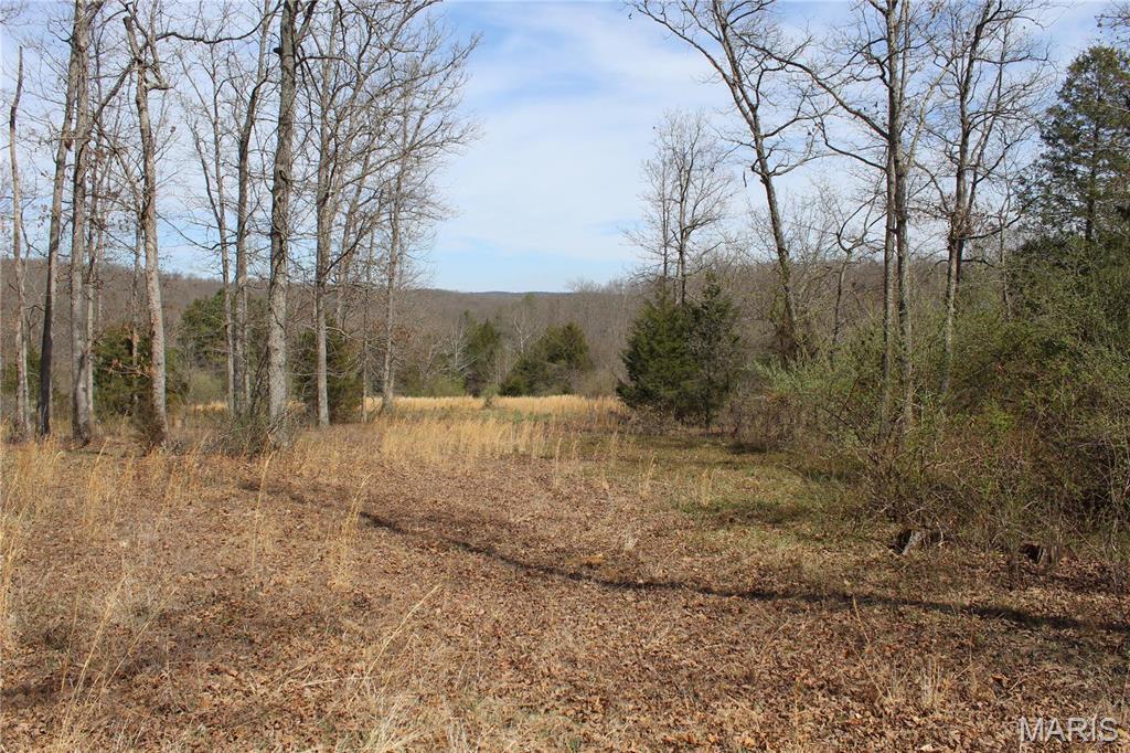12 Berryman Cut-Off Road Steelville, MO 65565 - Photo 9 of 23